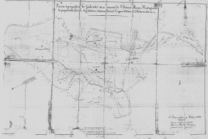 Pianta della divisione del feudo di Vicennepiane tra i fratelli d'Alena nel 1872